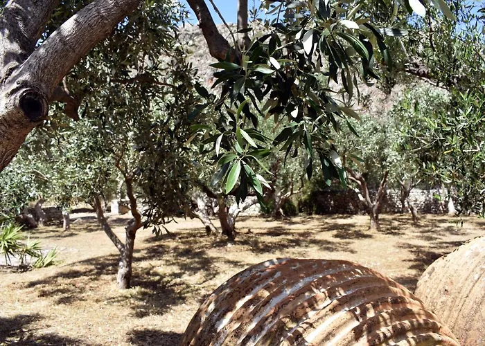 Akroyiali * Yerolimin